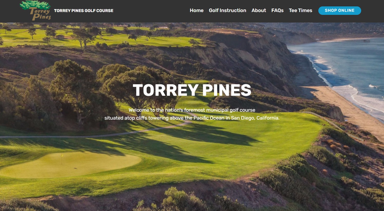 AI generated website example of Torrey Pines Golf Course