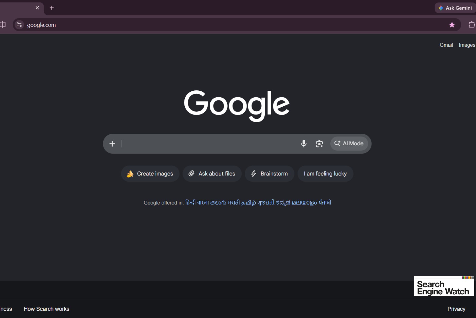 Search Engine Watch's screenshot of the new Google Homepage